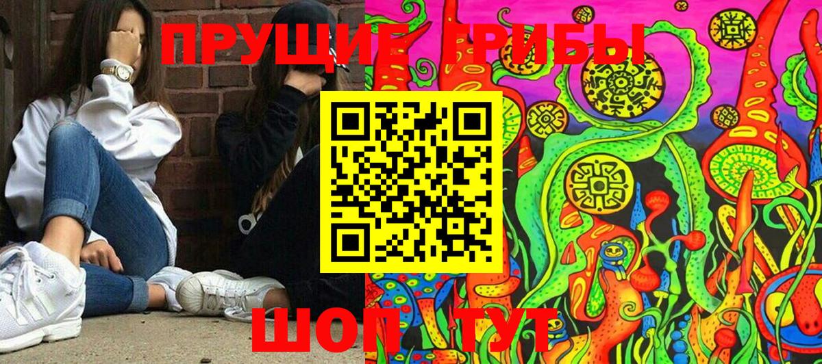 Псилоцибиновые грибы Psilocybine cubensis  Вход с VPN  Клин  Псилоцибиновые грибы прущие грибы 